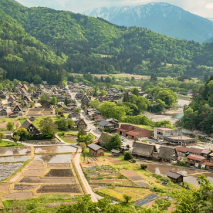 全国乡村振兴人才发展培训