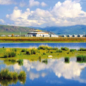 青海海晏线上全域旅游专题学习