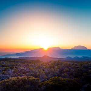 2021全域旅游骨干人才线上提升班