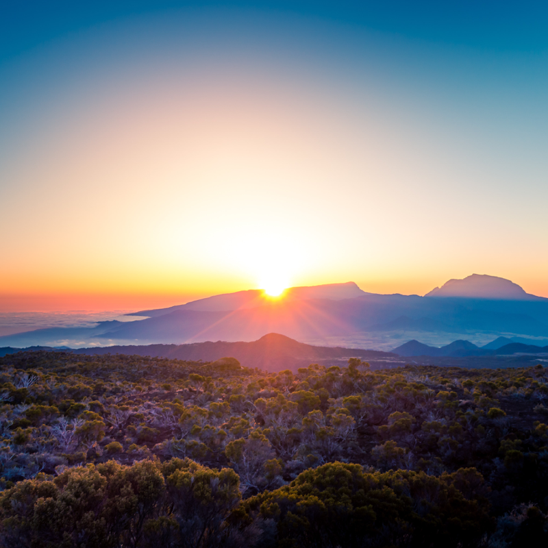 2021全域旅游骨干人才线上提升班