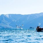 这个假期，年轻人都在景区抢“offer”