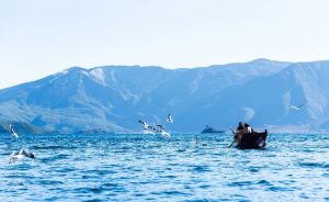 这个假期，年轻人都在景区抢“offer”