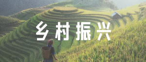 三个概念！搞懂站在乡村振兴风口上的“农旅文融合”